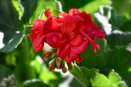 729351 (a): :2800x1860